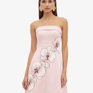 Orchid Embroidered Strapless A-Line Midi Dress - Blush Pink