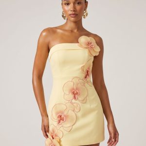 Orchid Embroidered Floral Appliqué Strapless Mini Dress - Light Yellow