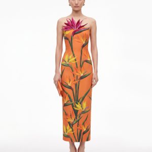 Bird of Paradise Appliqué Strapless Column Midi Dress - Orange