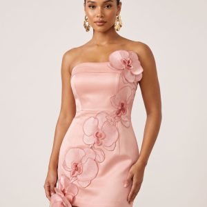 Orchid Embroidered Floral Appliqué Strapless Mini Dress - Pink
