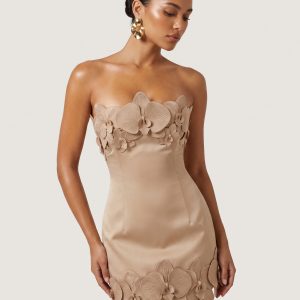 Orchid Trim Strapless Mini Dress - Mocha Brown